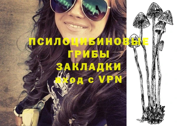 ешки Волоколамск