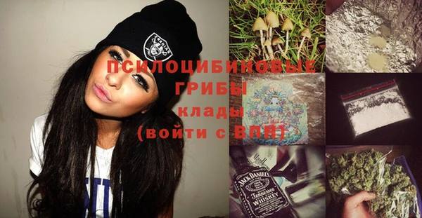ешки Волоколамск