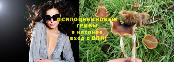 ешки Волоколамск