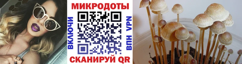 Псилоцибиновые грибы Magic Shrooms  Отрадный 